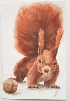 Aquarell Bild Eichhörnchen Tier 20 x 30 cm Original signiert