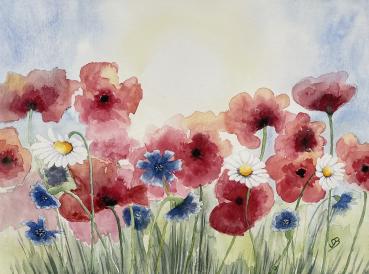 Original watercolor painting 30 x 40 cm, poppies - field flowers - meadow flowers
