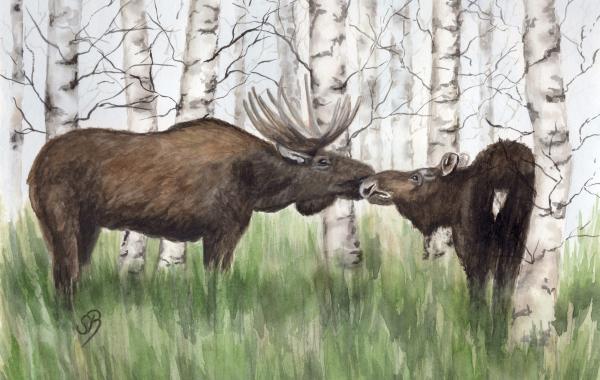 Brettchen Frühstücksbrettchen - Schweden - Elch