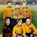 12" VINYL  SINGLE GYLLENE TIDER  - Bäst När Det Gäller ( PER GESSLE v. ROXETTE )